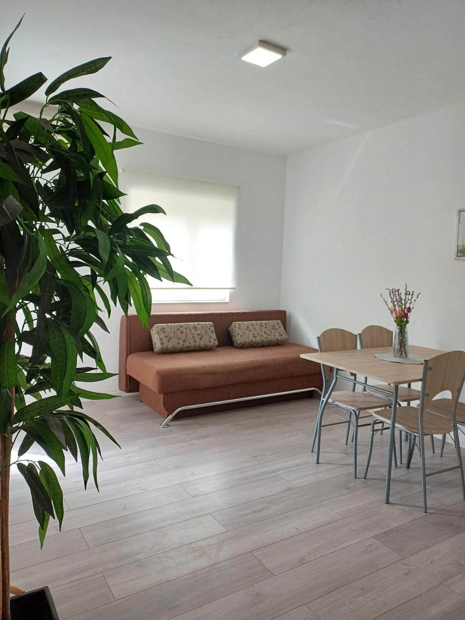 דוגי ראט Apartments Sun & Sea מראה חיצוני תמונה